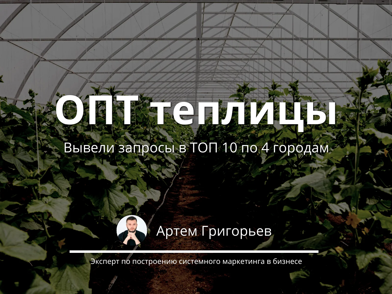 SEO-продвижение производителя теплиц: запросы в ТОП-10 Яндекса по четырем городам